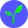 coin image